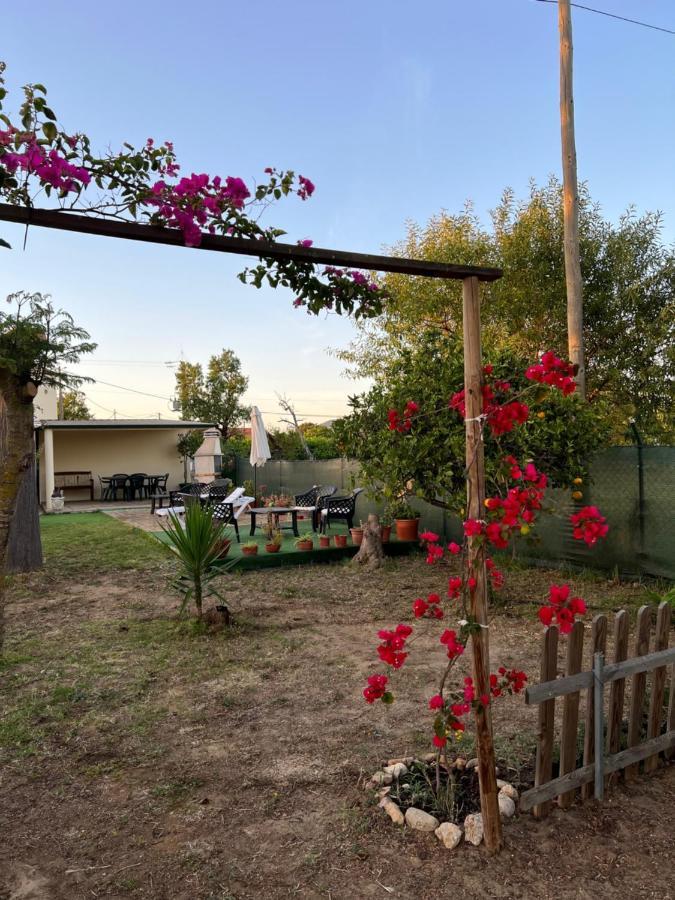 Quinta Dos Viegas Villa FAO Kültér fotó