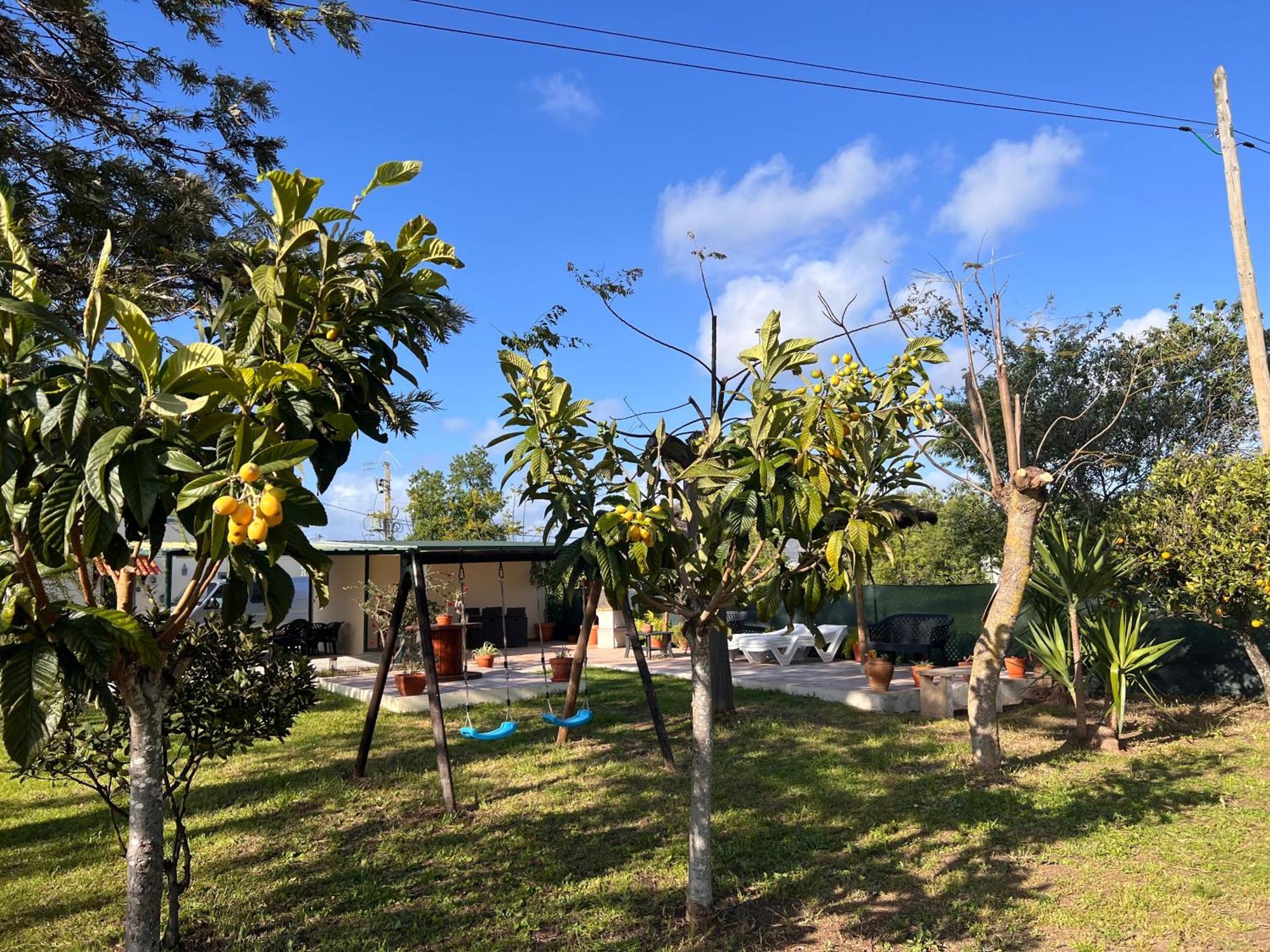 Quinta Dos Viegas Villa FAO Kültér fotó