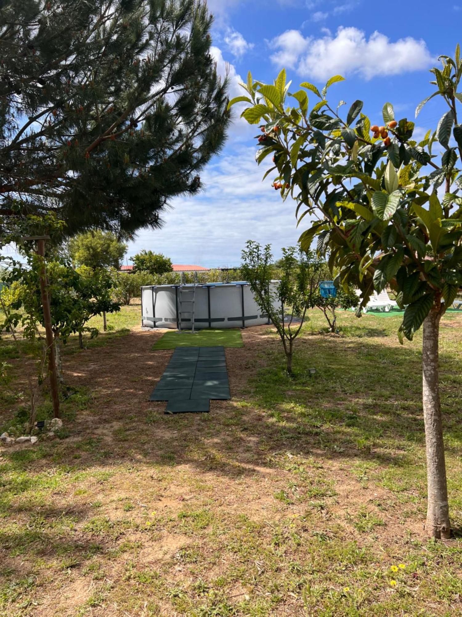 Quinta Dos Viegas Villa FAO Kültér fotó