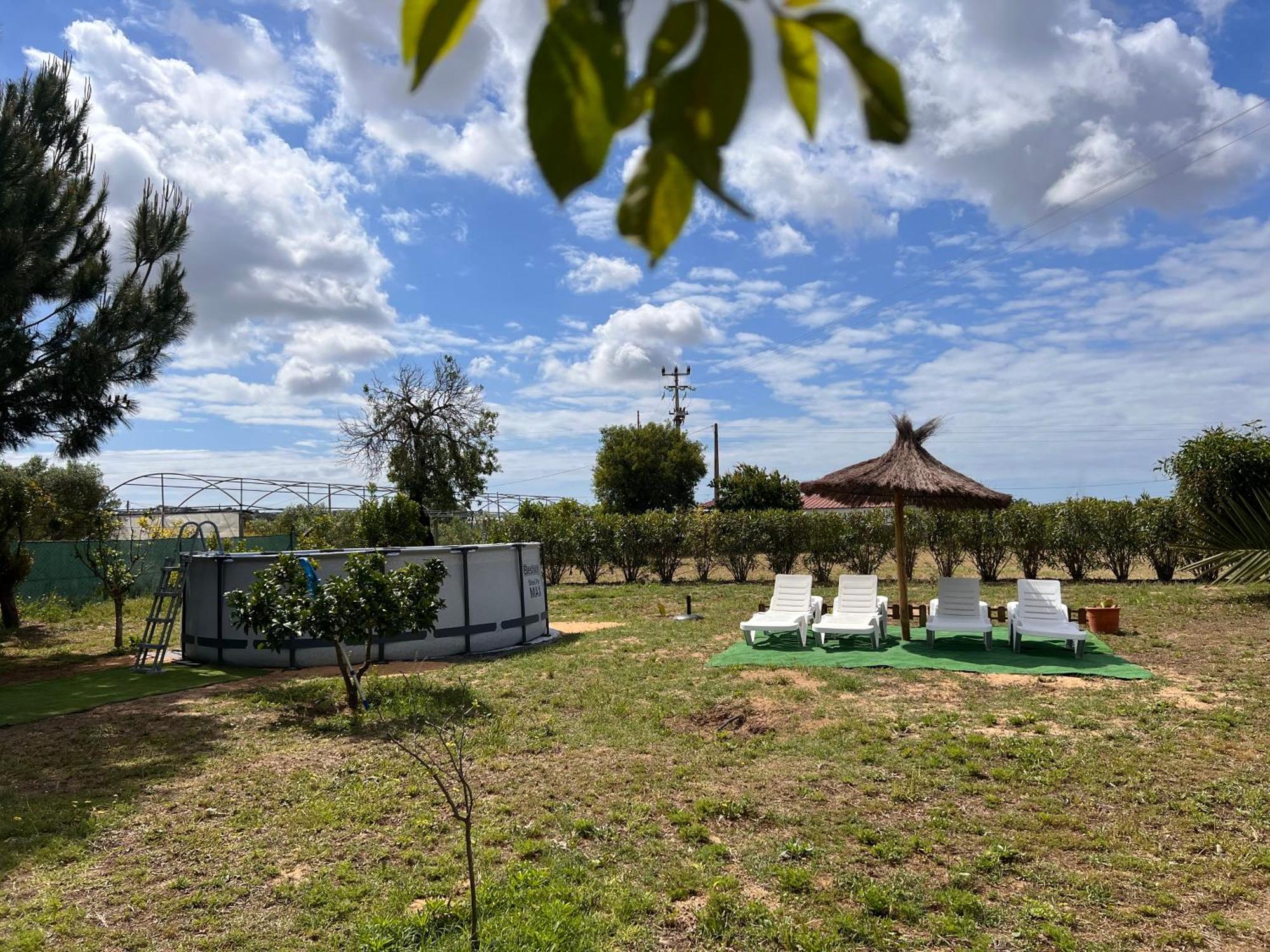 Quinta Dos Viegas Villa FAO Kültér fotó